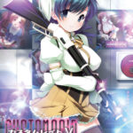 【同人 アダルトPCゲーム レビュー】 カスタムレイドV 2011夏プラグインDISC・オーガズムを追求したプレイが抜きどころ