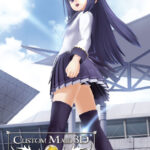 【同人 アダルトPCゲーム レビュー】 カスタムメイド3D 2011夏プラグインDISC・エロティックな場面が多く抜けるゲーム